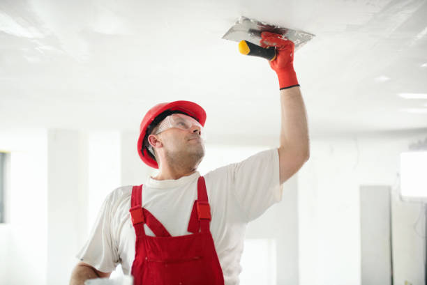 Trusted Slatington, PA Mold Removal Experts